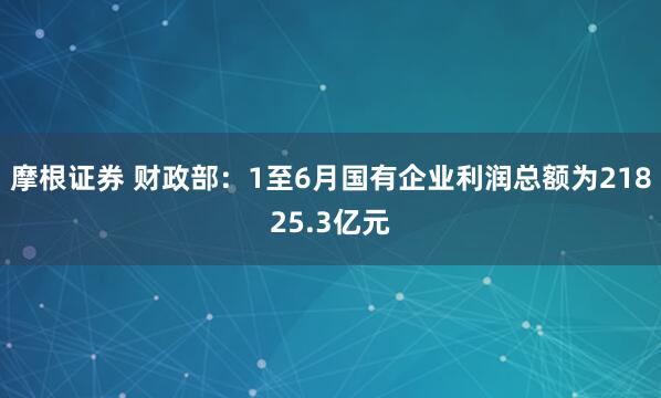 摩根证券 财政部：1至6月国有企业利润总额为21825.3亿元