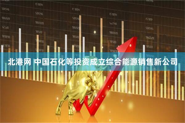 北港网 中国石化等投资成立综合能源销售新公司